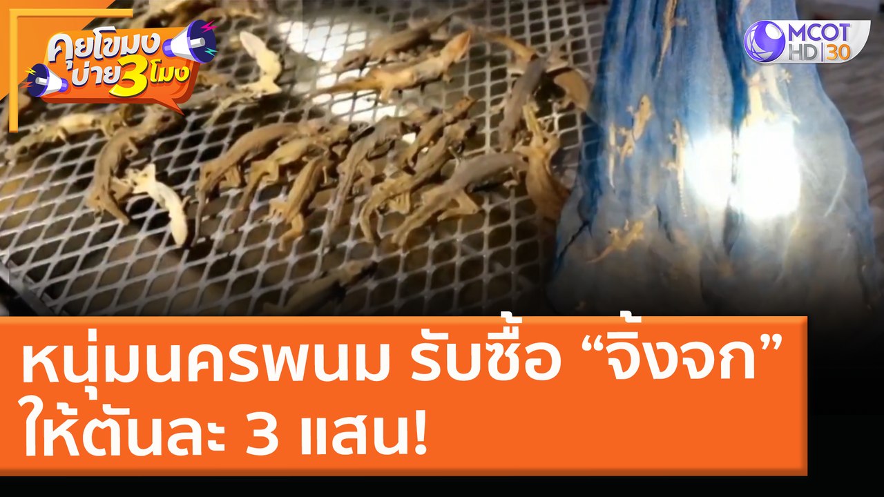 ฮือฮา! หนุ่มนครพนม รับซื้อ “จิ้งจก” ให้ตันละ 3 แสน! (20 เม.ย. 64) คุยโขมงบ่าย 3 โมง