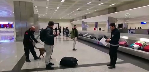 Türk yolcuları köpekle arayan Hollanda'ya misilleme