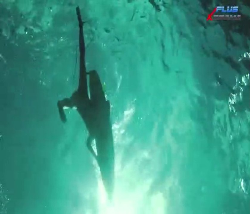 The Shallows