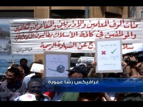 هؤلاء النواب والوزراء امتهنوا التعليم قبل السياسة - ليال سعد