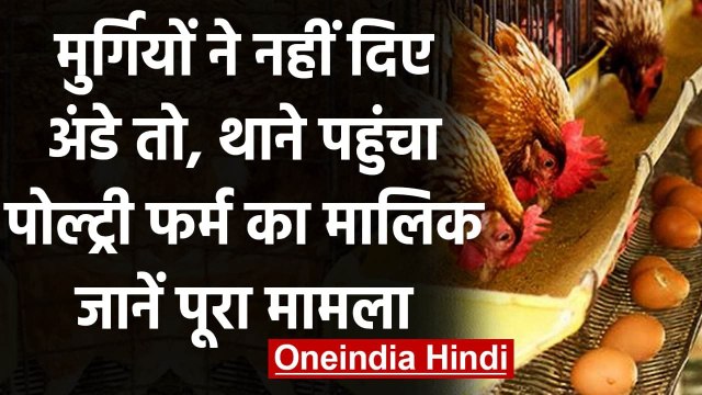 Maharashtra : मुर्गियों ने नहीं दिए अंडे तो थाने पहुंचा पोल्ट्री फर्म का मालिक | वनइंडिया हिंदी