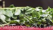 Malabar spinach curry/Tasty and healthy/Easy to cook/Xtra flavours
