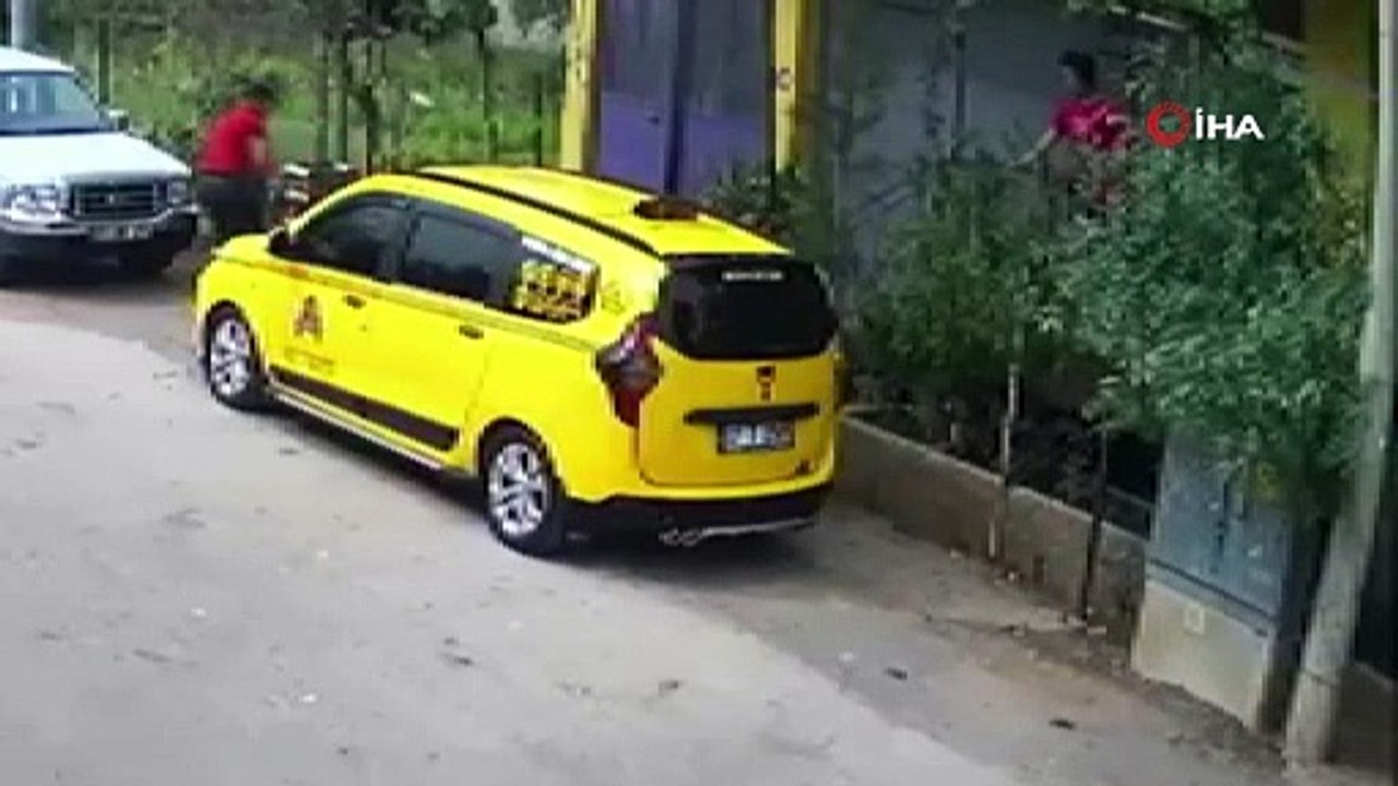 Taş atıp korkutmak istedi ama...