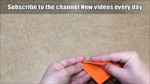 Origami Animals | How To Make A Paper Fox Diy - Easy Origami Step By Step