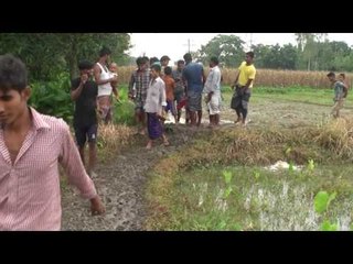 ৪ ঘণ্টার সাপের লড়াই দেখতে ভিড় - Jagonews24.com
