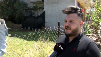 Beslediği kazların saldırısına uğrayıp yerlerde sürüklenince kazları satışa çıkardı