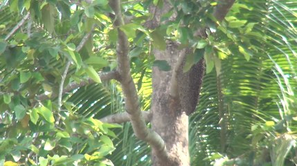 เรื่องพลบค่ำ ช่วงที่ 1 วันพุธที่ 21 เม.ย.64