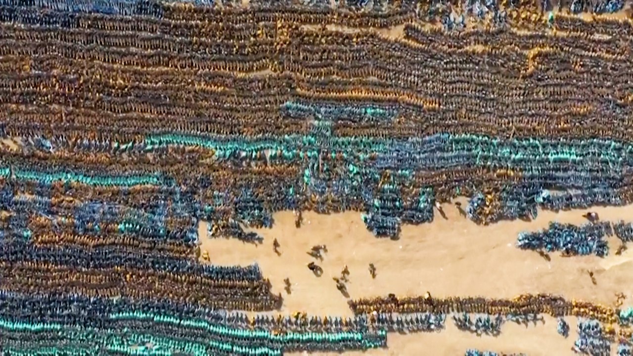 Des milliers de vélos partagés entassés sur un terrain vague en Chine