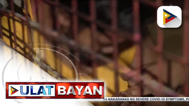 Isang taon at 5 buwang gulang na bata, patay nang paghahampasin ng kahoy ng sariling ina sa Taguig; insidente, maaaring bunga ng depression ayon sa psychiatrist