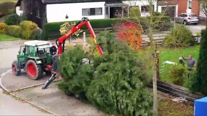 Almanya usûlü ağaç kesimi böyle görüntülendi