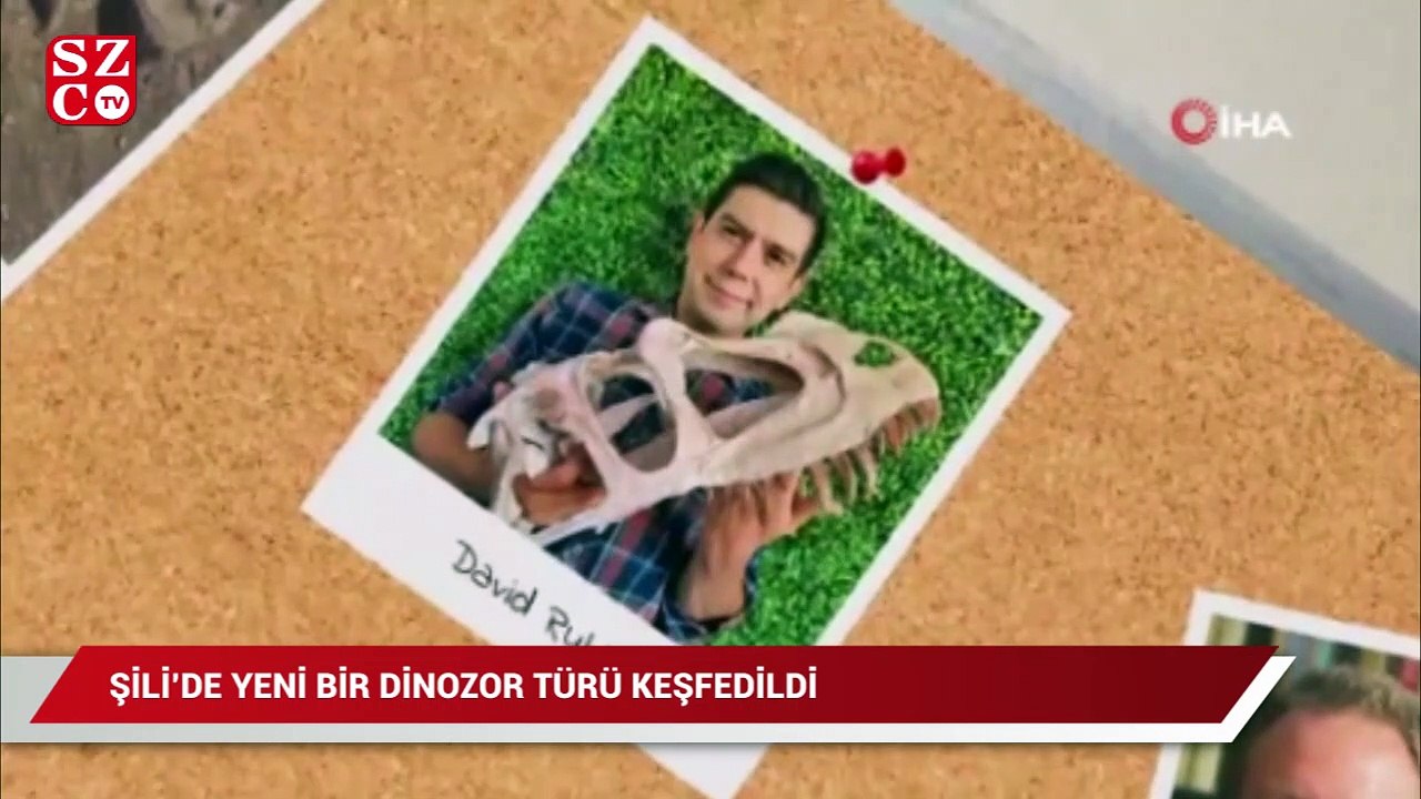 Şili’de yeni dinozor türü keşfedildi