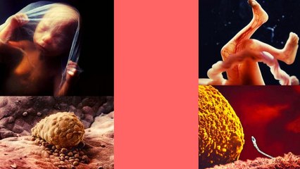 ಪ್ರಕೃತಿಯ ನಿಯಮಕ್ಕೆ ಒಂದು ಸಲಾಂ! | Oneindia Kannada