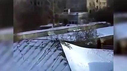 Karga kavanoz kapağıyla kayak yaptı