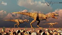 New Study Finds that the T-Rex was Actually a Slow Walker