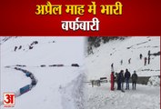 Snowfall In Lahaul Himachal: अप्रैल माह में भारी बर्फबारी, Atal Tunnel से आवाजाही पूरी तरह से बंद