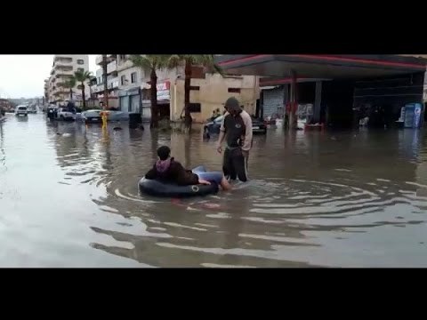 لا تسافر إلى فينيس صيدا هي البندقية العائمة! - عفيف الجردلي