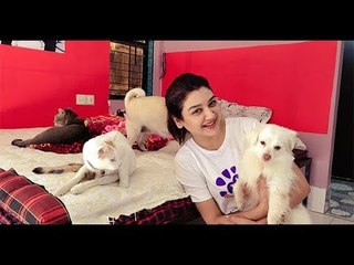 প্রাণী প্রেমী জয়া আহসান || jagonews24.com