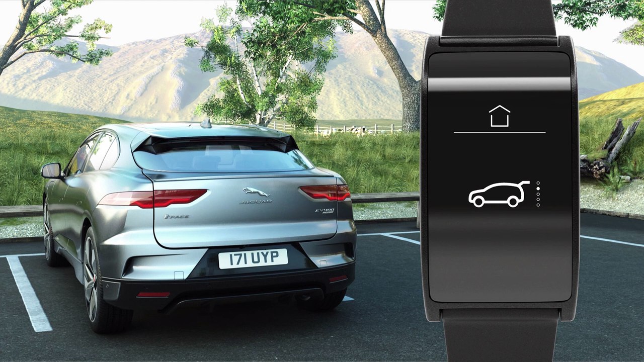Jaguar  Activity  Key