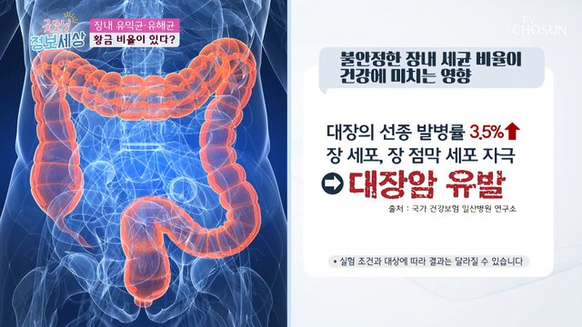 내 몸에 딱 맞는 장내 유산균 황금비율! TV CHOSUN 210421 방송