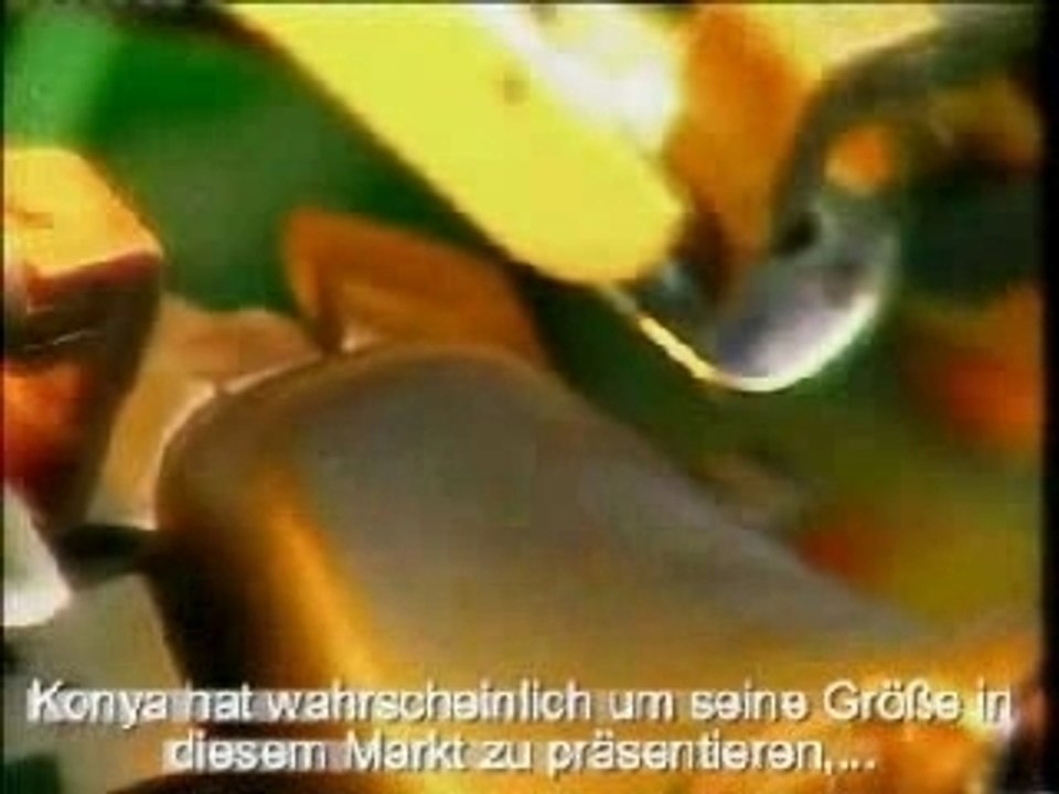 Erkunden Sie Investitionsbedingungen in der Stadt Konya / Turkey Seyfi Suna