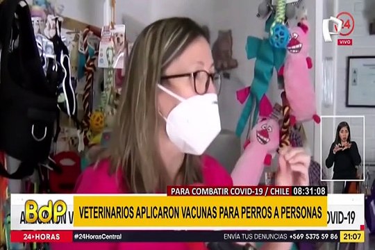 Chile: veterinarios aplicaron vacunas para perros a personas contra la COVID-19