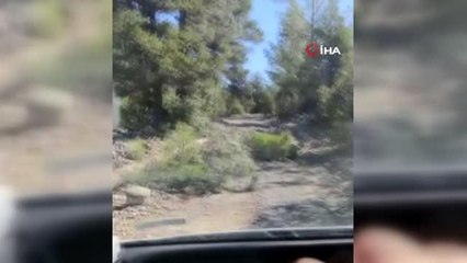 Hastaya yetişmeye çalışan 112 ekibine kütük engeli