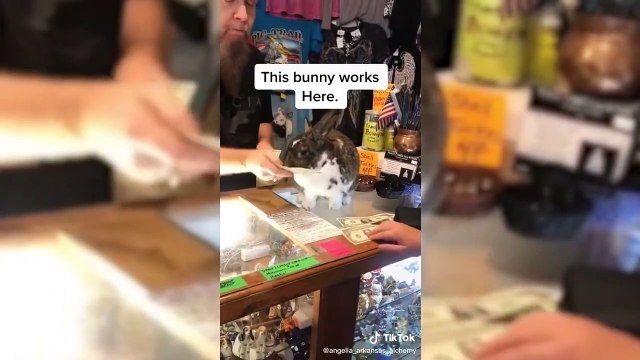 Wah Bete Mauj Kardi Sahi Khel Gaya Bc Funny Memes Whatsapp Status Video