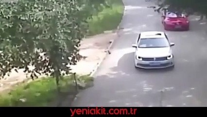 Kadının öldüğü kaplan saldırısı kamerada