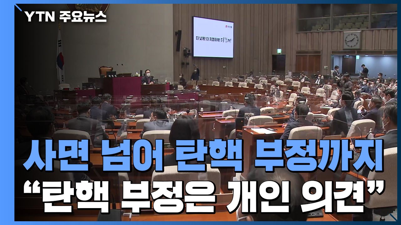 [앵커리포트] 사면서 더 나간 탄핵 부정...野 내부서도 비판 / YTN