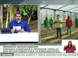 Casas de cultivo “El Naranjal” en El Junquito son recuperadas para la siembra de hortalizas
