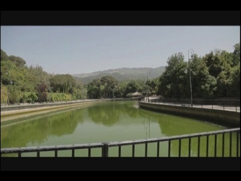 جامعات معاهد مستوصفات وغيرها تحمل اسم الرئيس عصام فارس - جهاد زهري