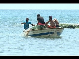 زعيتر يبيع الصيادين سمكاً انتخابياً -  نعيم برجاوي