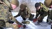 US Military News • U.S. Marines • Extreme Arctic Environment Training • Exercise Northern Strike