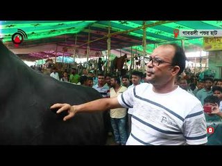 বাজার দামে সেরা যুবরাজ, দাম হাকিয়েছেন  ৪০ লাখ | jagonews24.com