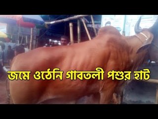 দিনভর বৃষ্টির বাগড়া : জমে ওঠেনি গাবতলী পশুর হাট | jagonews24.com
