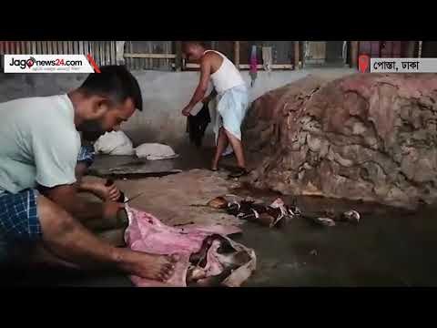 পাওনা টাকা নিয়ে বর্বর আচরণ করেছেন ট্যানারি শিল্পপতিরা | jagonews24.com