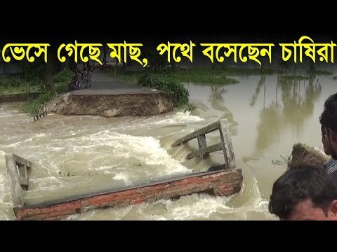 ভেসে গেছে মাছ, পথে বসেছেন চাষিরা | jagonews24.com