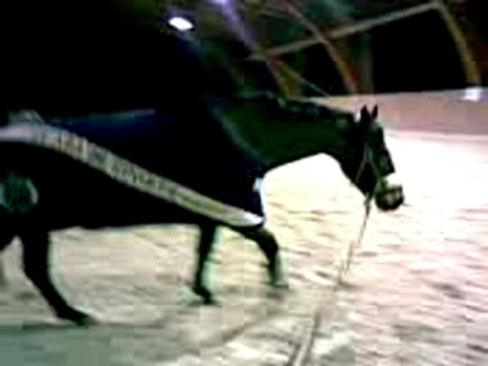 Vidéo004