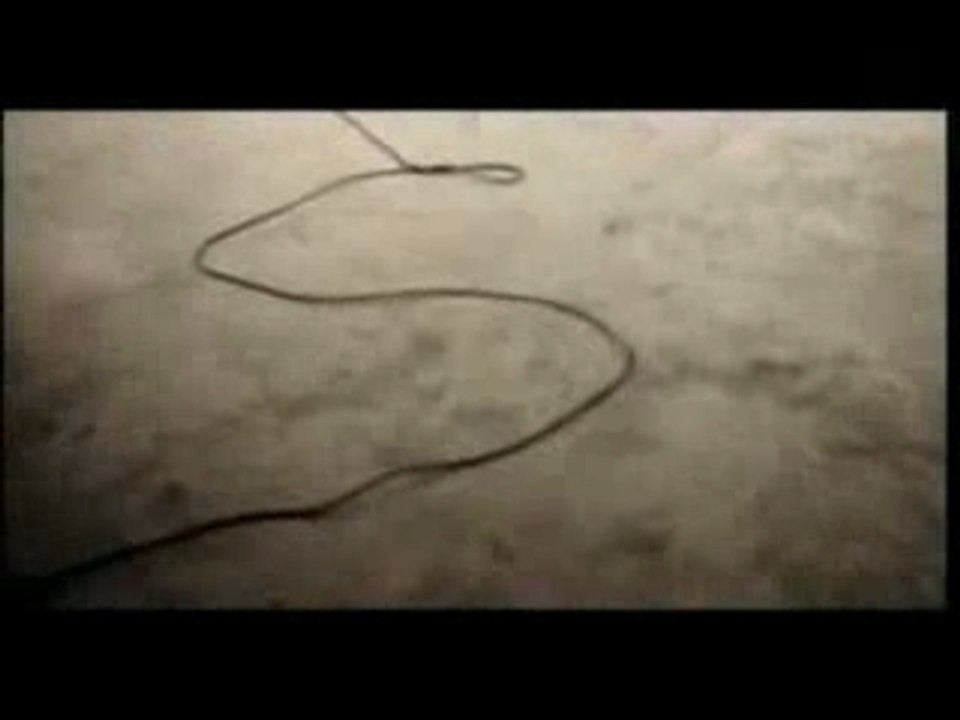 Mirpasot - Nigmar Halyla