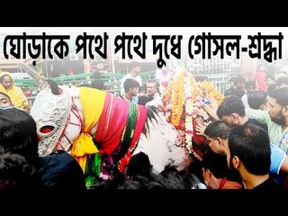 তাজিয়া মিছিলের ঘোড়াকে পথে পথে দুধে গোসল শ্রদ্ধা | jagonews24.com