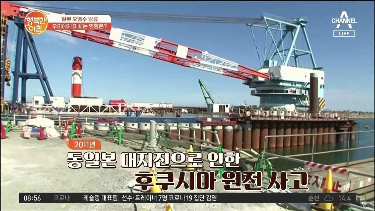 일본 오염수 방류!!! 전문가 입을 열다, '원전 오염수, 먹어도 안전'의 진실은?!