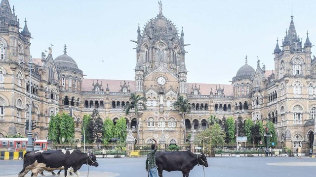 Maharashtra govt orders stricter COVID curbs, Know details