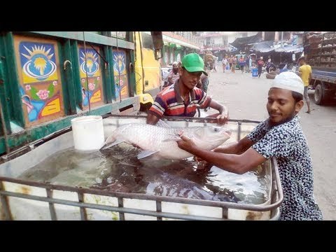 ‘পানিতে ঢেউ না দিলে ১০ মিনিটেই শেষ’ | Jagonews24.com