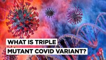 Triple Mutation Variant Detected In India; Why Are So Many Mutations & Variants Emerging?