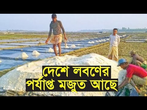 লবণের দাম বাড়ালে ব্যবসায়ীদের জেল জরিমানার নির্দেশ | Jagonews24.com