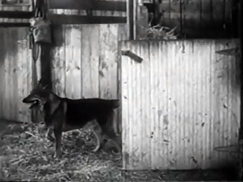 Amor En Otoño Pelicula Comedias Románticas En Español Latino 2020 / Comedia Romanticas