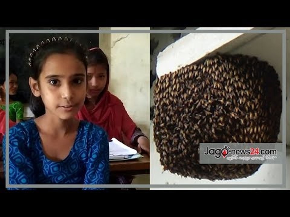 দরজা-জানালা বন্ধ করে বার্ষিক পরীক্ষা দিচ্ছে শিশুরা | Jagonews24.com
