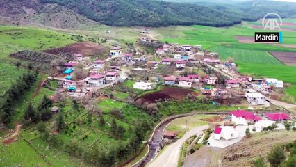 Güneydoğu'daki binlerce yıllık tarihe sahip açık hava müzeleri ziyaretçileri cezbediyor
