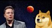 DOGECOIN Elon Musk Just Dropped a MASSIVE Bshell about Dogecoins Future || Dogecoin Prediction