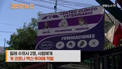 [30초뉴스] '개 코로나' 백신을 사람에게…설마 같은 코로나로 알고?